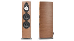 Sonetto VIII G2